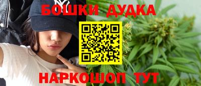 МДПВ Будённовск