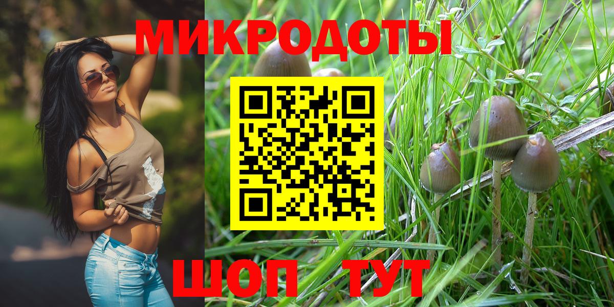 Джанкой  Галлюциногенные грибы Psilocybine cubensis  Вход с VPN 