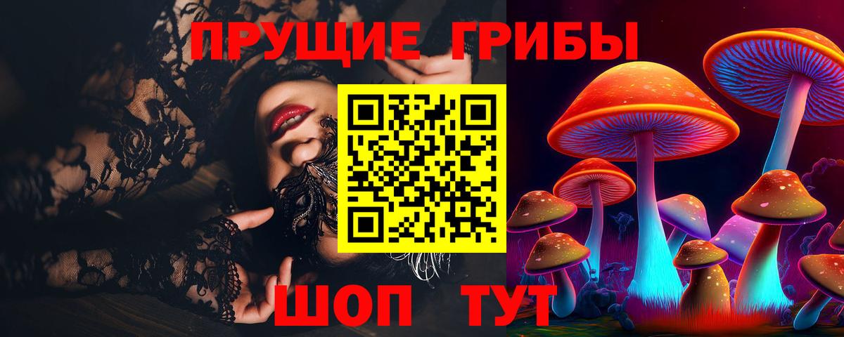 Галлюциногенные грибы Cubensis Джанкой